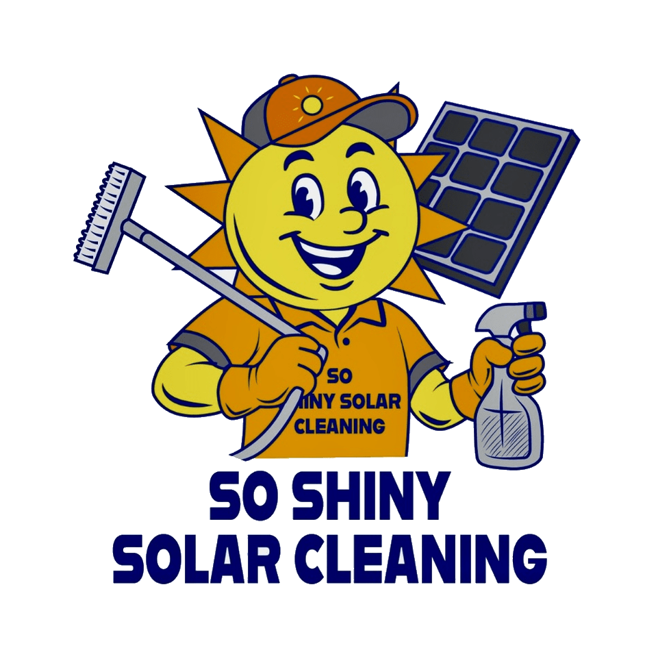So Shiny Solar Cleaning